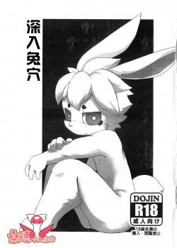 深入兔穴