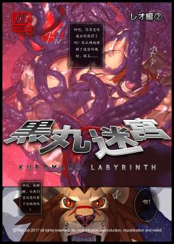 黑丸迷宫2