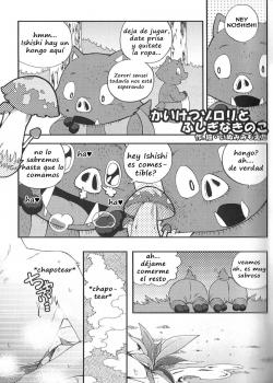(c84) [dogear (inumimi moeta)] zorori el extraordinario y el hongo misterioso (kaiketsu zorori) [西班牙语] [haoru]