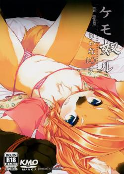 (C85) [Havemoon (Kizuki Akizuki)] kemodall - ryna