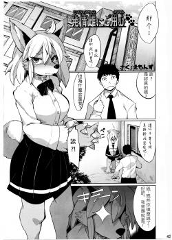 (C91) [Mayoineko (Emons)] Hatsujou Bitch ni Goyoujin (Kemokko Lovers 7) [Chinese]