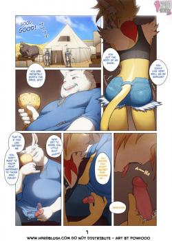 The Thief and The Traveller